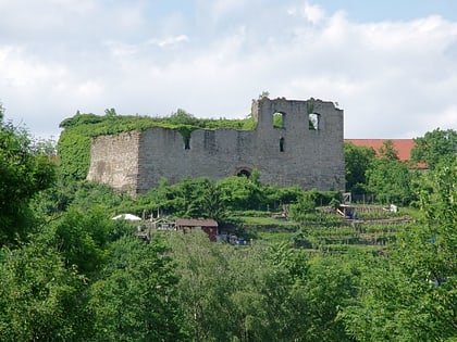 ruine altsachsenheim
