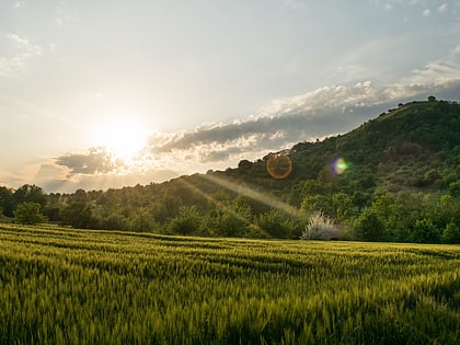 Limburg