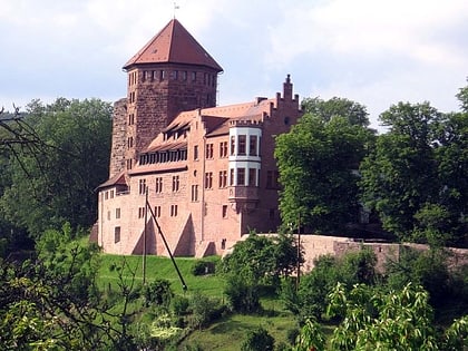 burg rieneck