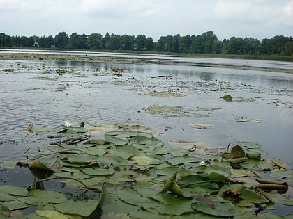 lago borkower