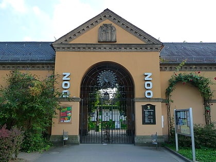 ogrod zoologiczny heidelberg