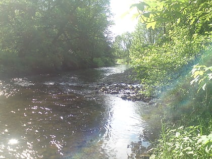 nsg siebertal park narodowy harzu