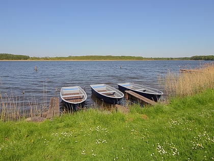 Ruppiner See