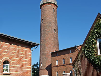 darsser ort natureum fischland darss zingst