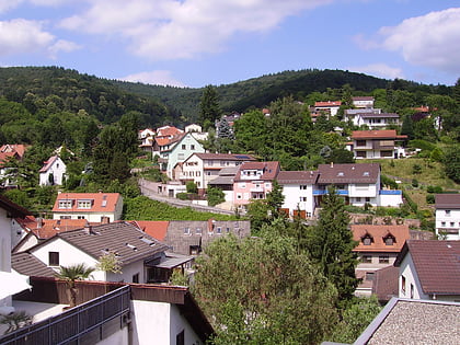 Heidelberg-Ziegelhausen