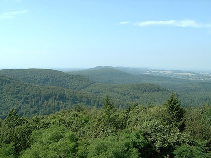 teutoburg forest