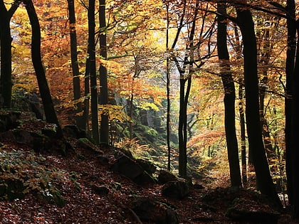 park narodowy hunsruck hochwald