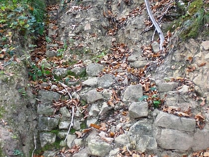 burg alt scharfeneck frankweiler