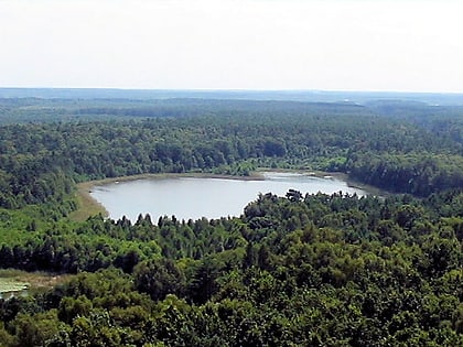 kleiner zillmannsee park narodowy muritz