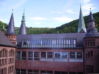 biblioteca de la universidad de heidelberg