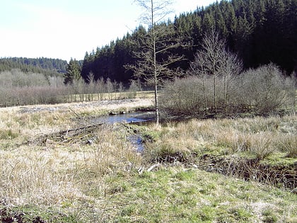 naturschutzgebiet perlenbach fuhrtsbachtal