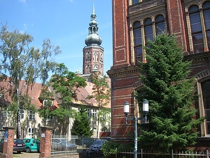universitatsbibliothek greifswald