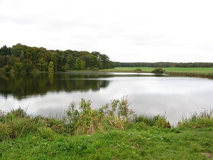 schwarzer see wendisch rambow