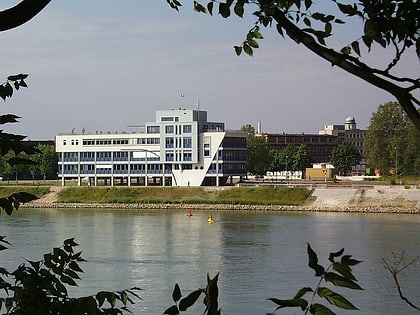 east asia institute ludwigshafen