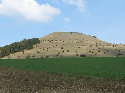 ipf mountain bopfingen