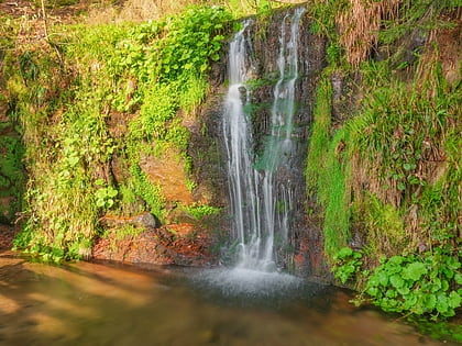 sankenbach waterfalls baiersbronn