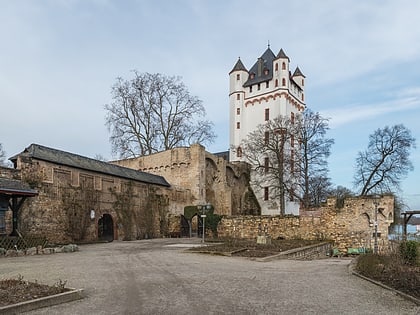 Burg Eltville