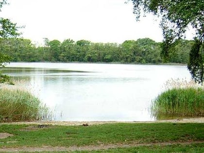 Naturschutzgebiet Boissower See und Südteil des Neuenkirchener Sees