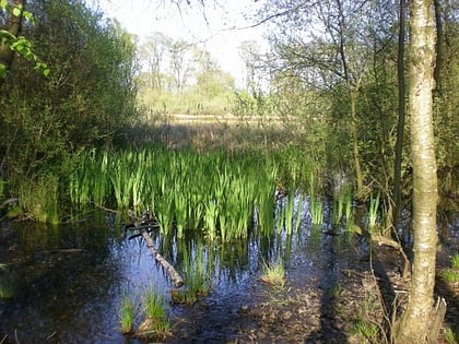 timmermoor ahrensburg