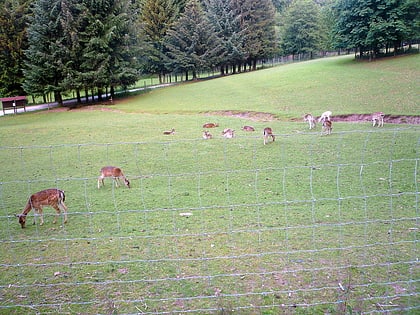 wildpark gersfeld