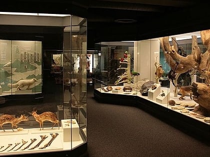 Naturmuseum