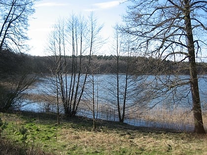 Lago Röblin