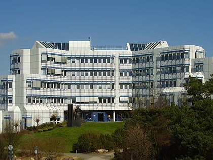 Universität Trier