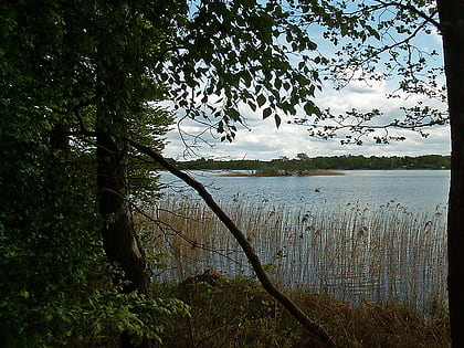 lago zootzen