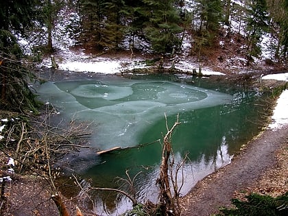 Lago Grüner