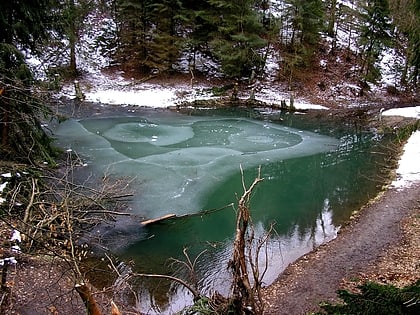 gruner see