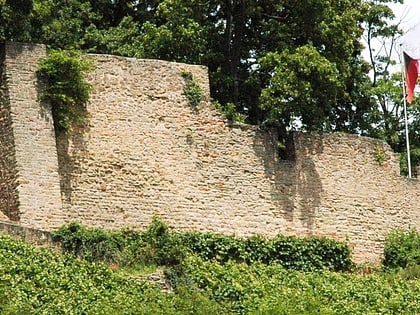 Burg Neu-Wolfstein