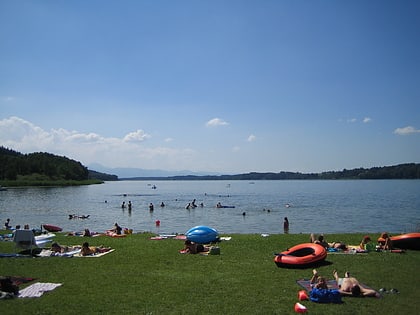 Lago Sims