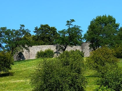 Burg Amöneburg