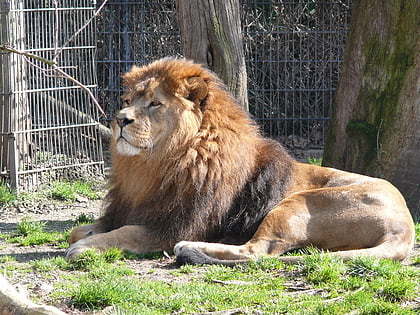 Zoo Dortmund