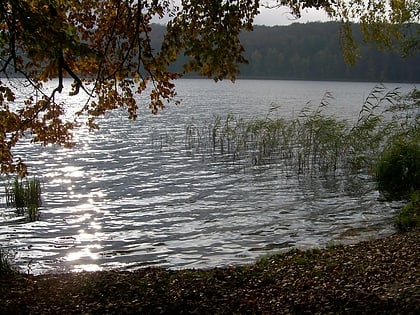 Wolgastsee