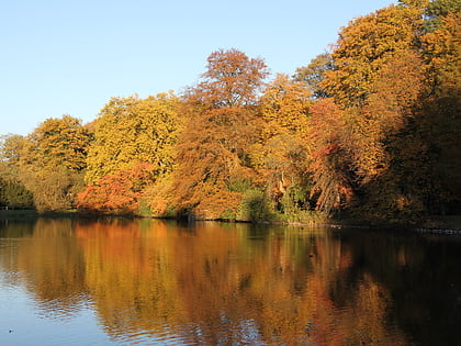 Botanischer Garten Rombergpark