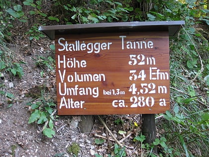 stallegger tanne wutach gorge