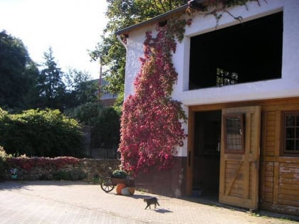 am zauberberg bad harzburg