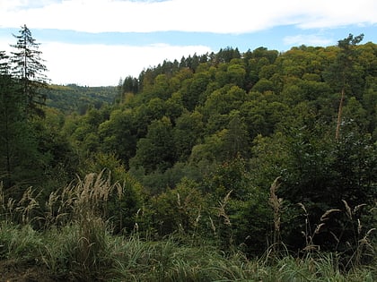 bromberg schonbuch nature park