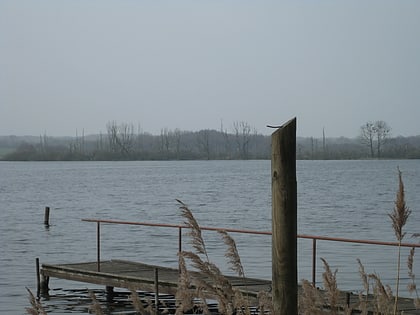 roggeliner see schaalsee biosphere reserve