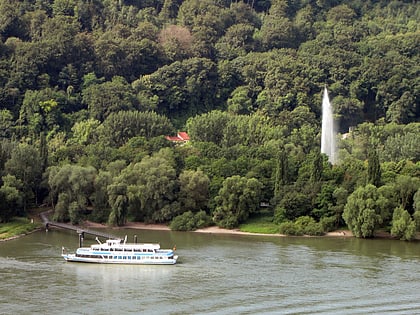 geysir andernach