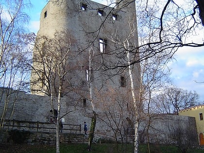 Château Hoher Schwarm