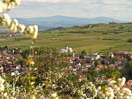 ingelheim am rhein