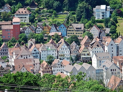 calw