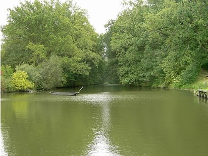 fossa carolina treuchtlingen