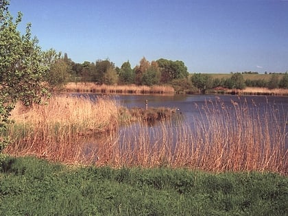 Opfermoor Niederdorla