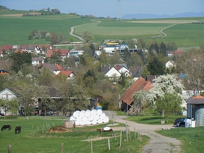 Ühlingen-Birkendorf