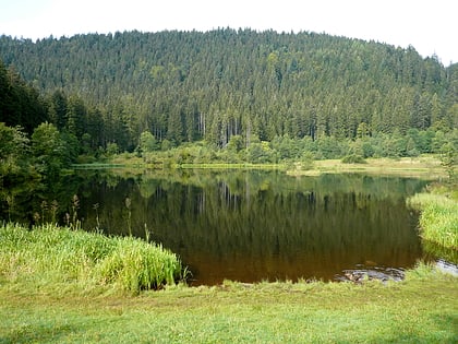 Lago Sankenbach