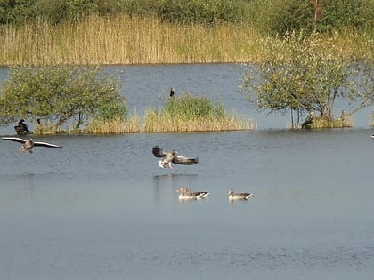 meissendorf lakes and bannetze moor