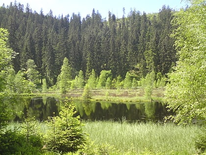 buhlbachsee parc national de la foret noire